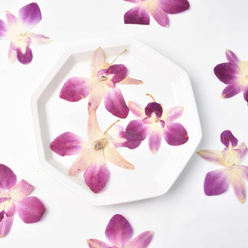 Resin Art Baby - 4 Pezzi, Fiori di Orchidea Farfalla