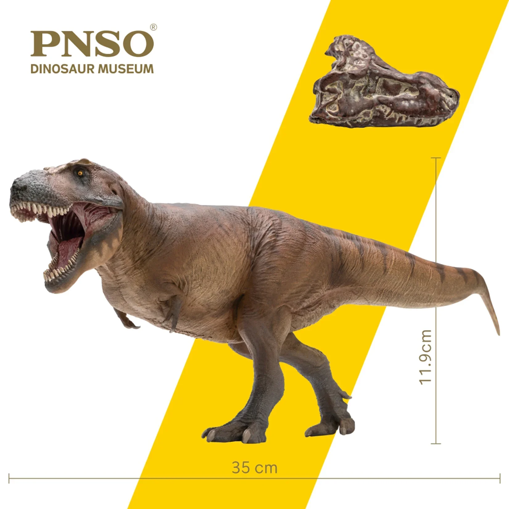 Resin Art Decoration Items - PNSO 1/35 Modello di Tyrannosaurus Rex