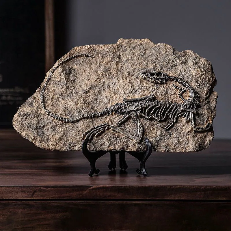 Modello di Fossile di Dinosaur - Resin Art Decoration Items recensione e prezzo