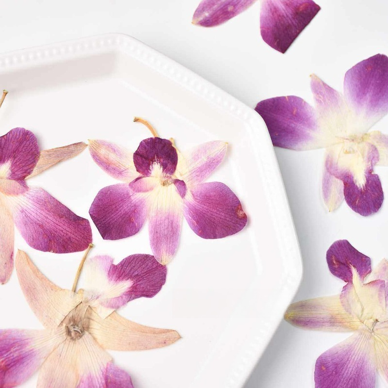 4 Pezzi, Fiori di Orchidea Far - Resin Art Baby recensione e prezzo