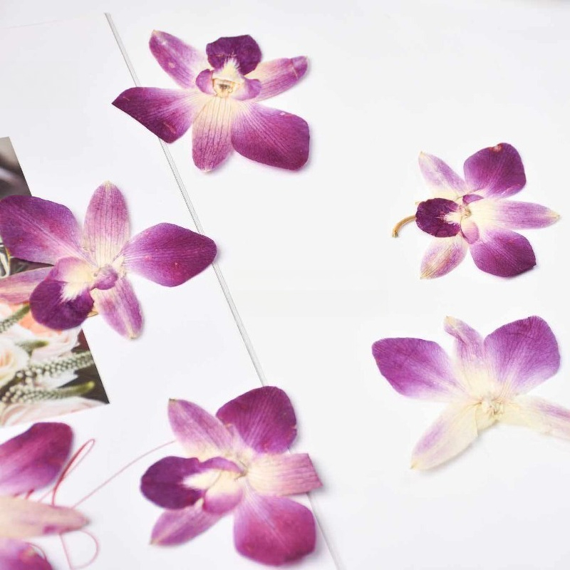4 Pezzi, Fiori di Orchidea Far - Resin Art Baby recensione e prezzo