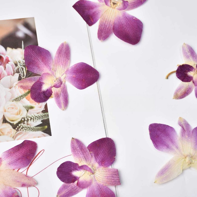 4 Pezzi, Fiori di Orchidea Far - Resin Art Baby recensione e prezzo