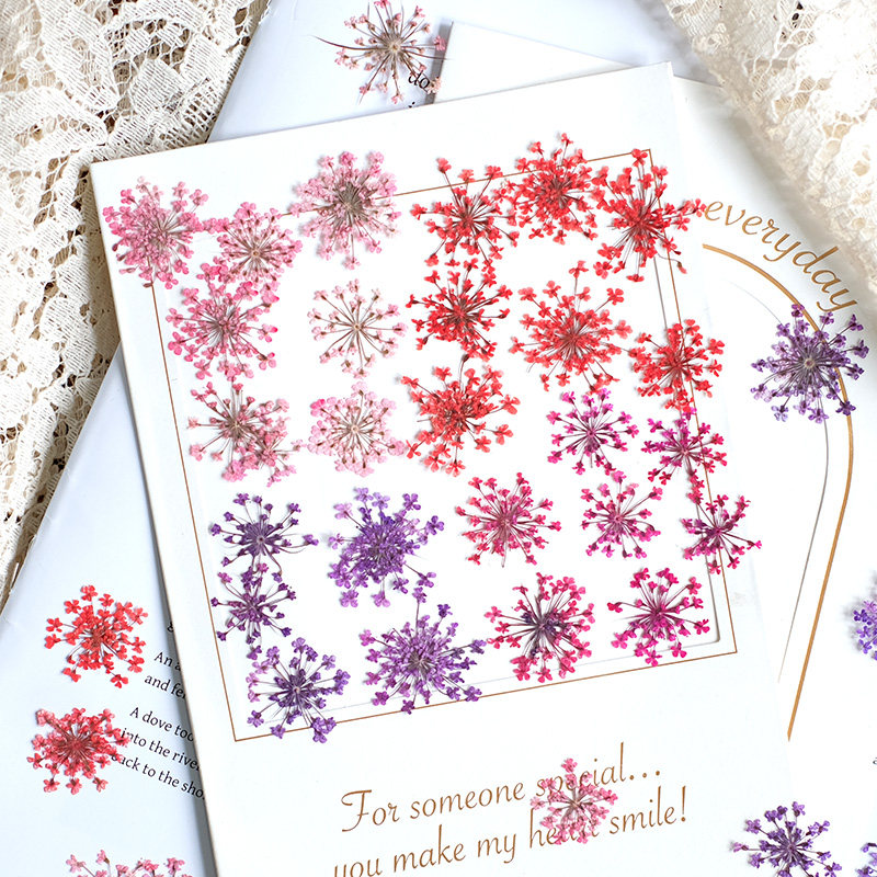 24 Pezzi, 2-2,5 cm, Petali di  - Resin Art Baby recensione e prezzo
