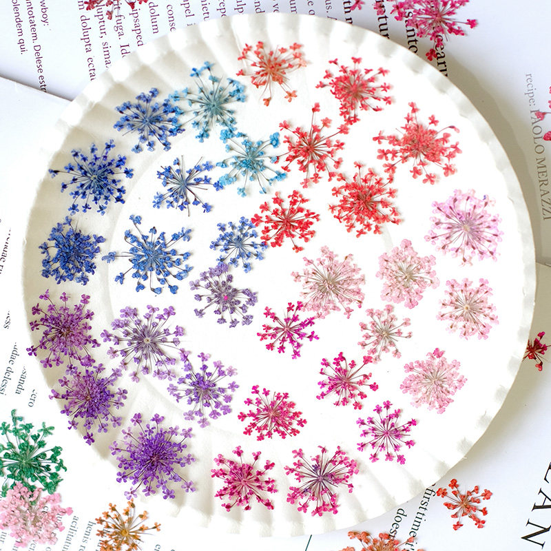 24 Pezzi, 2-2,5 cm, Petali di  - Resin Art Baby recensione e prezzo