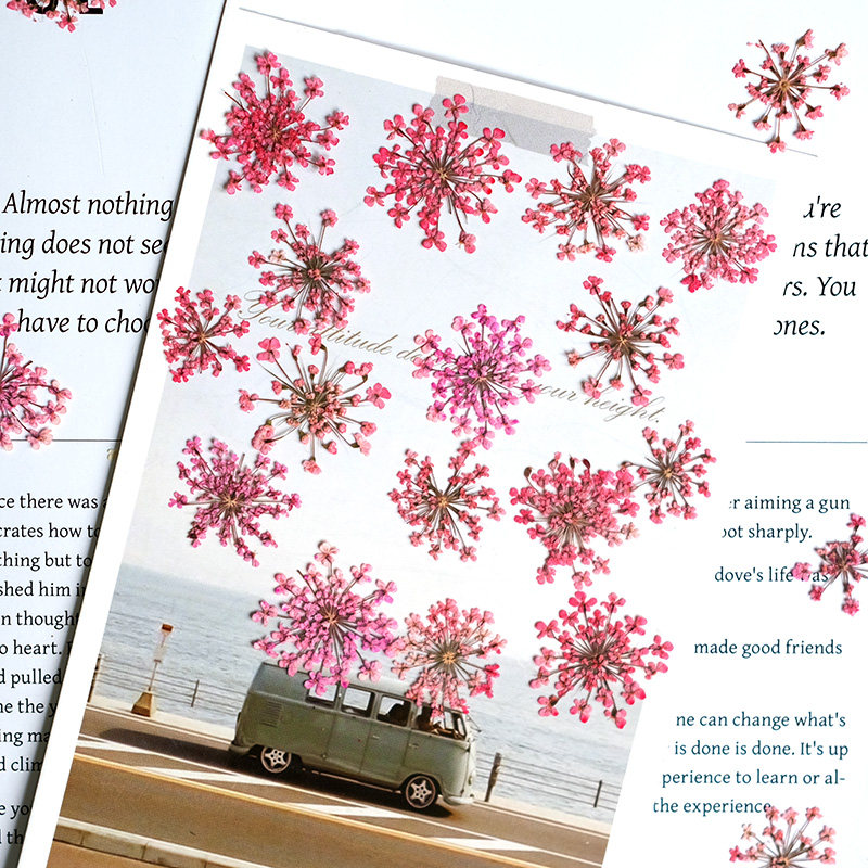 24 Pezzi, 2-2,5 cm, Petali di  - Resin Art Baby recensione e prezzo