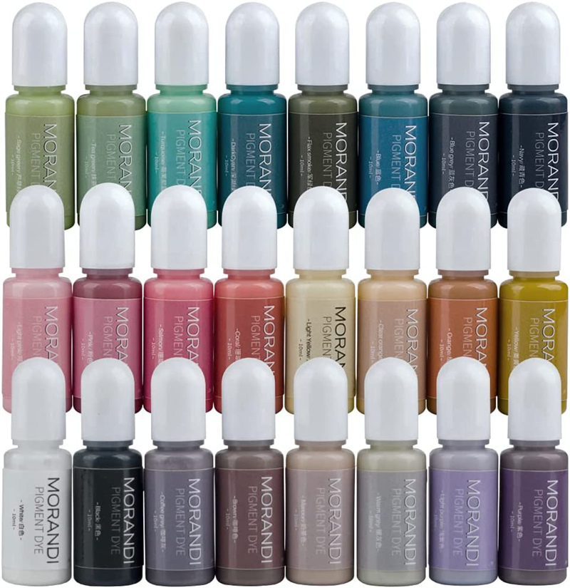 24 colori Morandi pigmento di  - Resin Art Alcohol Ink recensione e prezzo